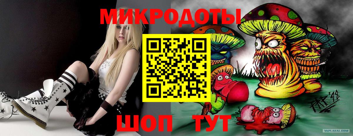 Галлюциногенные грибы GOLDEN TEACHER Березники