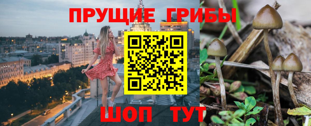 Псилоцибиновые грибы GOLDEN TEACHER  Псилоцибиновые грибы Magic Shrooms  Березники  Вход с VPN 